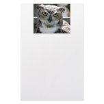 Great Horned Owl Stationery Paper