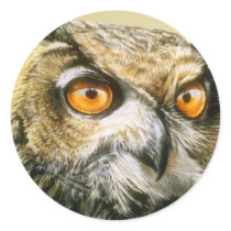 Great-Horned-Owl stickers by junglewalkcom Great-Horned-Owl stickers