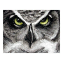 Great Horned Owl Tiger Owls Charcoal Drawing Post Card