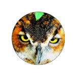 Great horned owl wall clocks