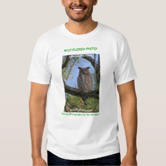 Great Horned Owl Wild Florida Photo T-shirt
