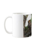 Great Horned Owls mugs