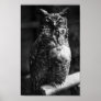 Great Horned Own Poster