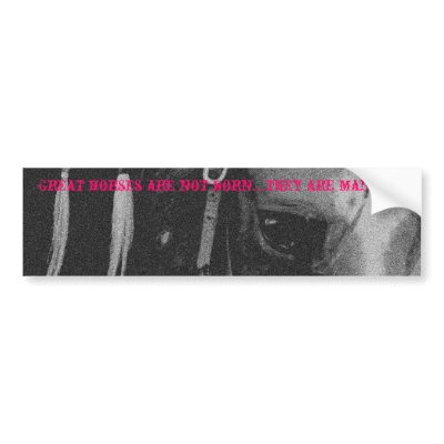 Great horses are not born... bumper sticker by EmilyPeak