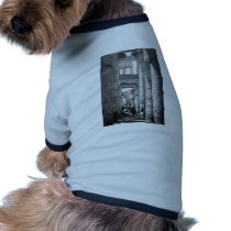 Great Hypostyle Hall Karnak Egypt ~ 1845 Pet T Shirt