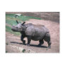 Great Indian One-Horned Rhino Postcards