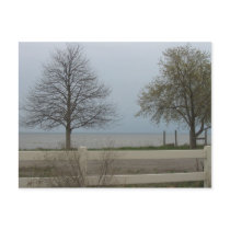 Great Lake View postcards
