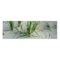 Great Lakes Beach Business Card