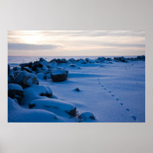 Great Lakes Winter Sunrise Poster