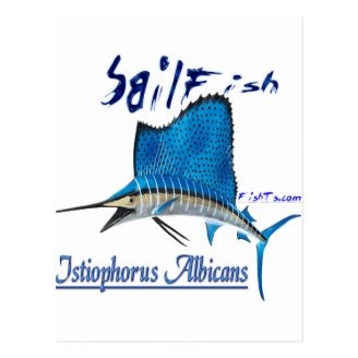 Great Marine Game Fish Post Card