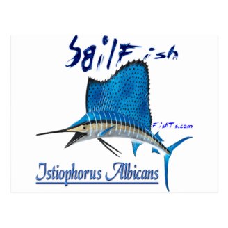 Great Marine Game Fish Post Card