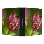 Great Masterwort Photo Book Binder