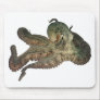 Great ocean octopus octapi