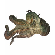 Great ocean octopus octapi t-shirts by OutDoorWorld Great ocean octopus octapi t-shirts