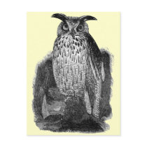 Great Owl Post Card