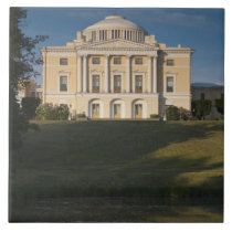 Great Palace of Czar Paul I, exterior Tiles