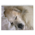 Great Pyrenees 2010 Calendar