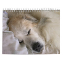 Great Pyrenees 2010 Calendar by greatpyrenees Great Pyrenees 2010 Calendar