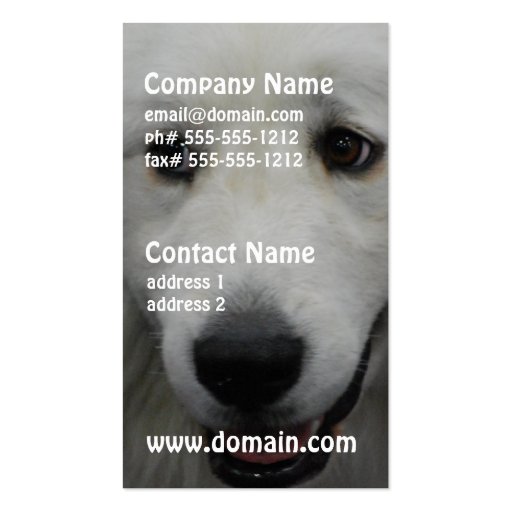great-pyrenees-20.jpg business card (front side)