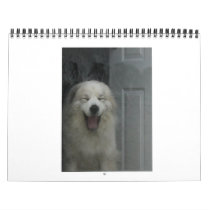 Great Pyrenees Calender Calendars