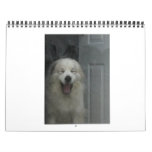 Great Pyrenees Calender Calendars