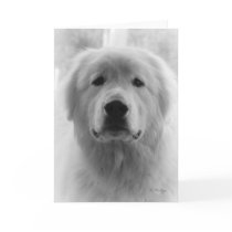 Great Pyrenees Greeting Card