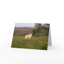 Great Pyrenees Card