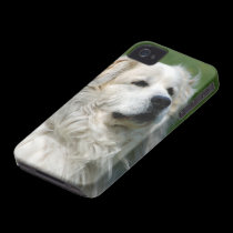 Great Pyrenees Case casemate cases