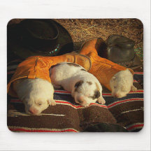 Great Pyrenees Dream Big Mousepad