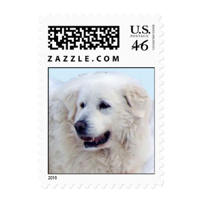 Great Pyrenees face Stamps by schneiter