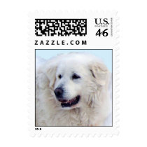 Great Pyrenees face Stamps