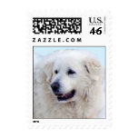 Great Pyrenees face postage