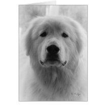 Great Pyrenees cards