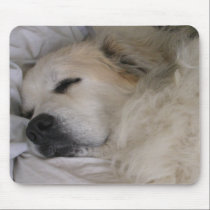 Great pyrenees mousepad mousepads