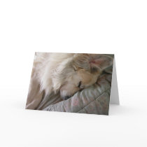 Great Pyrenees Notecard by greatpyrenees Great Pyrenees Notecard