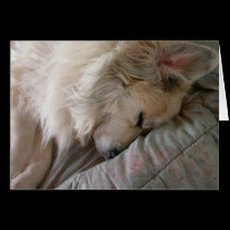 Great Pyrenees Notecard cards