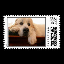 Great Pyrenees Postage stamps
