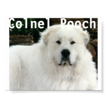 Great Pyrenees posters by kellyokay Great Pyrenees posters