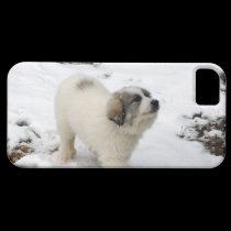 Great Pyrenees Puppy casemate cases