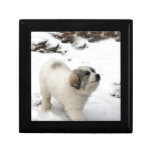 Great Pyrenees Puppy Jewelry Boxes