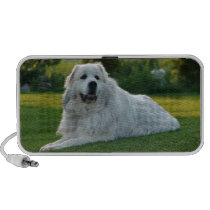 Great Pyrenees Speaker speakers