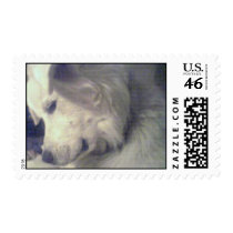 Great Pyrenees Stamp