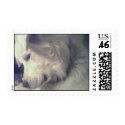 Great Pyrenees Stamp