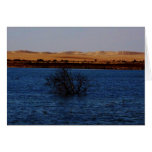 Great Sand Sea, Siwa Oasis, EGYPT Card