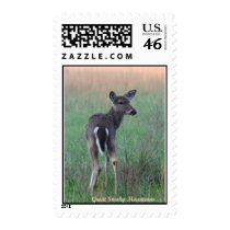 Great Smoky Mountain Deer postage by amymolina Great Smoky Mountain Deer postage