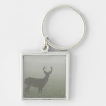 Great Smoky Mountains National Park, Tennesse, Key Chain