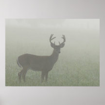 Great Smoky Mountains National Park, Tennesse, Posters