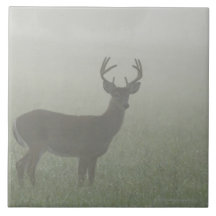Great Smoky Mountains National Park, Tennesse, Ceramic Tile