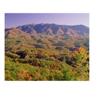 Great Smoky Mountains NP, Tennessee, USA Poster