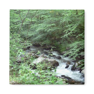 Great Smoky Mountains Stream Magnet by hopefulone